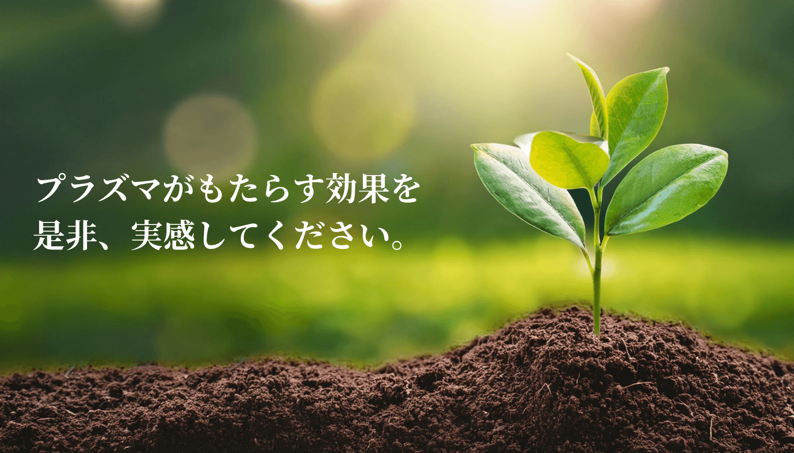 プラズマがぞおたらす効果を是非、実感してください。